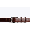 Cintura Caiman